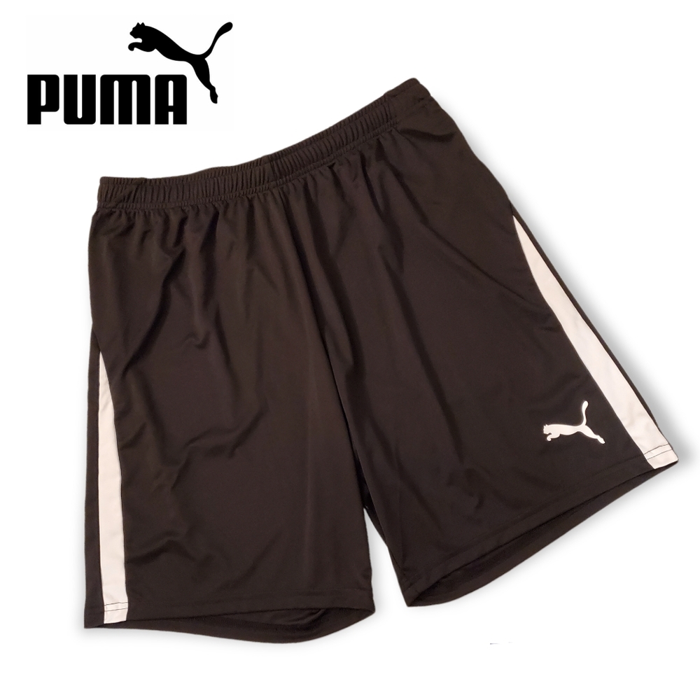 Puma Men's Pitch Shorts
